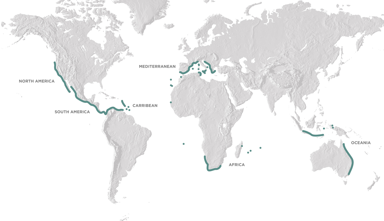 1247x717_Region_map_updated