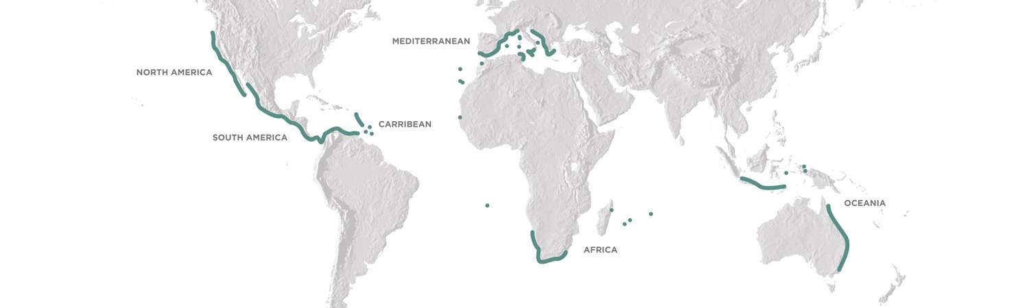 1500x450_Region_map_updated
