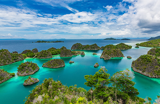 westpapua westpapua